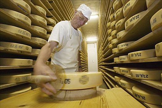2006年,奶酪,成熟,存储,乳业