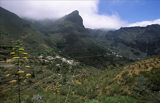 山峦,特内里费岛,加纳利群岛,西班牙