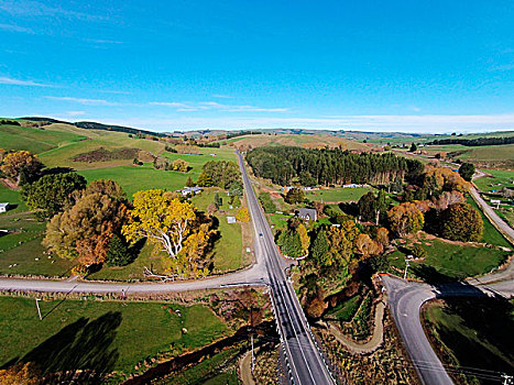 公路,农田,秋天,靠近,中心,奥塔哥,南岛,新西兰
