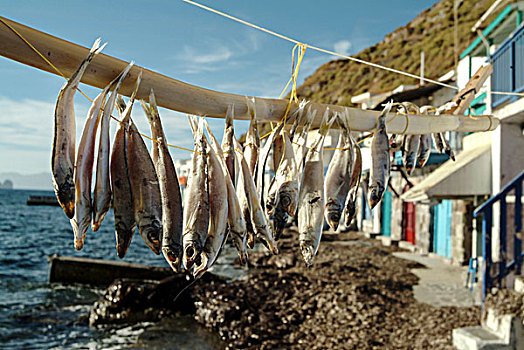 鱼肉,弄干,上网,乡村,岛屿,希腊
