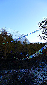 仙乃日神山