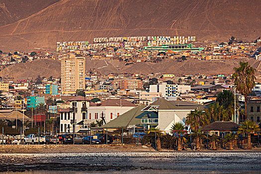 智利,安托法加斯塔,港口,风景,日落