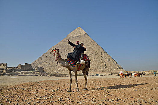骆驼,物主,正面,切夫伦金字塔,吉萨金字塔,埃及,非洲