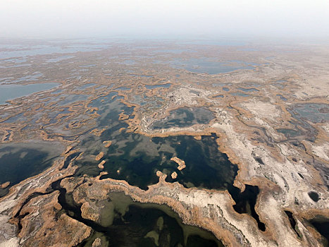 新疆若羌,台特玛湖,昔日干盐壳,今朝美湿地