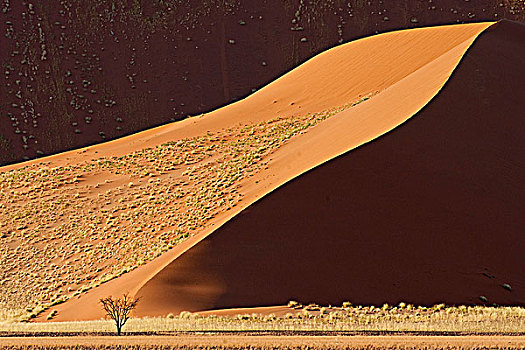 红色,沙丘,索苏维来地区,诺克路福国家公园,纳米布沙漠,纳米比亚