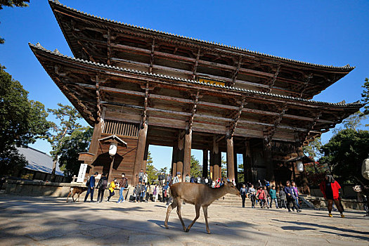 日本奈良东大寺