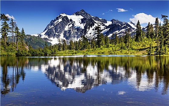 湖,常绿植物,舒克森山,华盛顿,美国