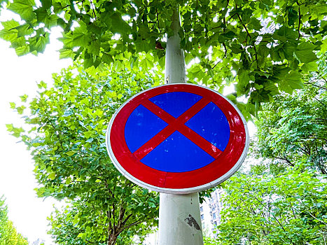 公路禁止停车指示牌