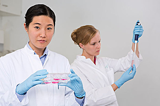 女性,科学家,工作,实验室,检查,细胞,盘子,正面,溶液,商品,背影