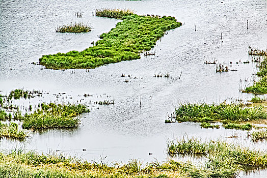 黑龙江省雁窝岛湿地自然景观