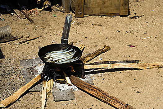 马达加斯加,鼻子,诺西空巴,煎锅,木头,火