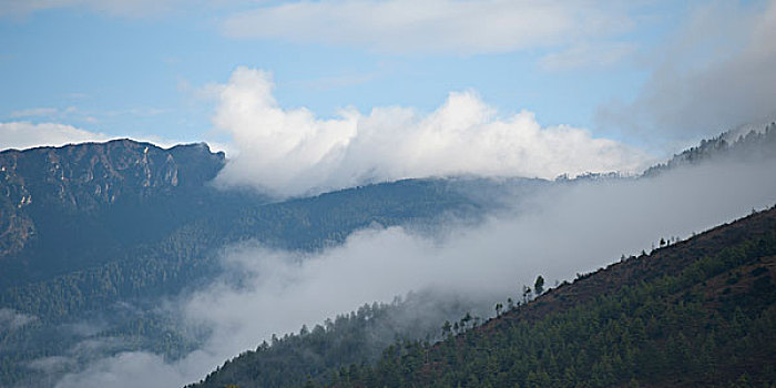雾,上方,山,廷布,不丹