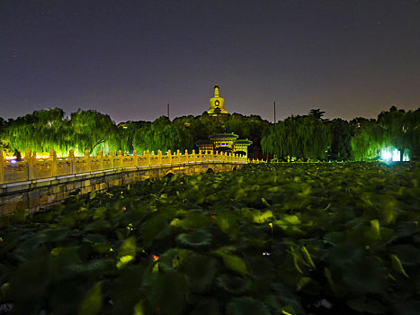 北海公園,夜晚,北京,中國