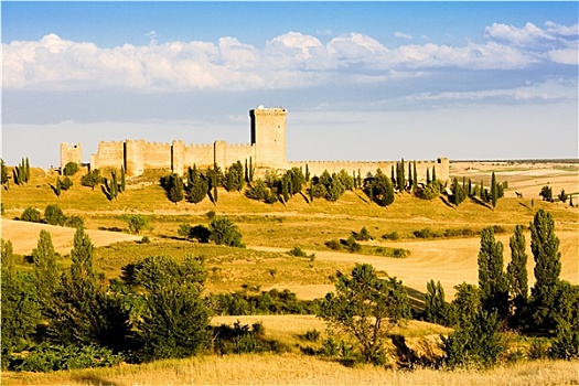 杜罗河,城堡,布尔戈斯省,卡斯提尔,西班牙