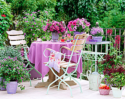 角,露台,紫色,开花植物,相配,桌布,桌子