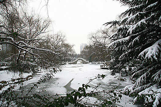 雪景