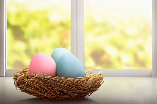 彩色,复活节彩蛋,鸟窝,书桌