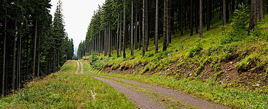 全景,山,道路