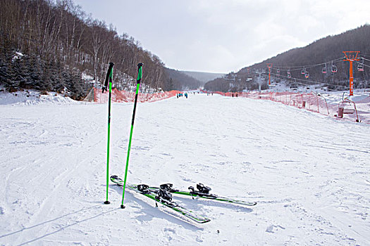 滑雪板,手杖,滑雪场