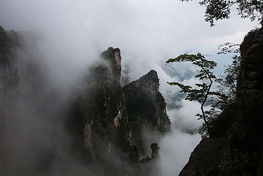 恩施,黄鹤峰,风景,景点,旅游,高山,山区,神秘,树木,植被,石头,鄂西,奇石,峡谷,壮观,云海,仙境