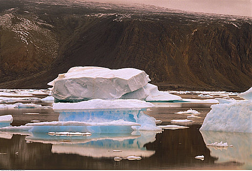 冰山,艾利斯摩尔岛,加拿大
