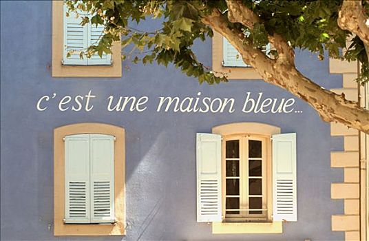 法国,阿尔卑斯滨海省,蓝色,房子,铭刻,树