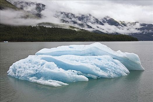 冰山,恩迪科特湾,东南阿拉斯加