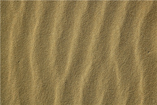 波状,海滩,沙子,纹理,阳光