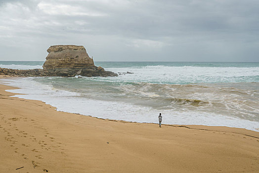 一名亚洲女性的背影,站在沙滩上面朝大海