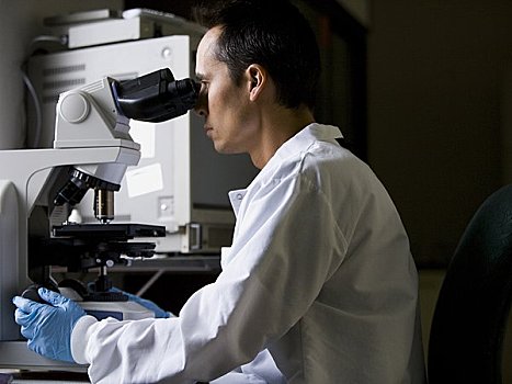 男性,实验室技术员,张望,显微镜