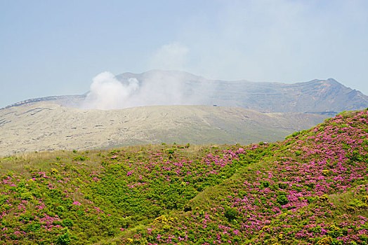 火山口,山,九州,杜鹃花