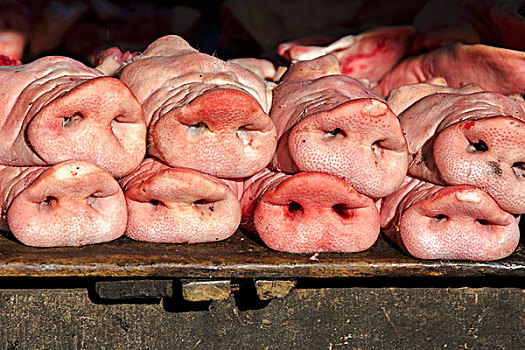 新鲜,猪,口鼻部,市场,金边,柬埔寨