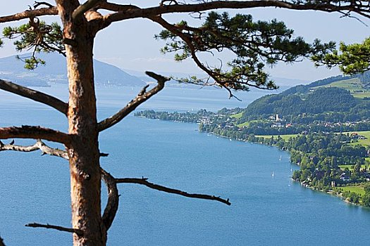 湖,奥地利,俯视图