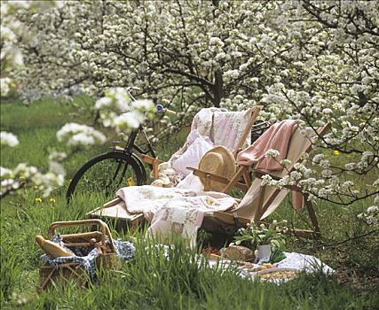 野餐,折叠躺椅,花,果树