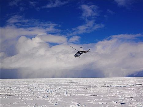 两个,直升飞机,上方,海洋,冰,南极
