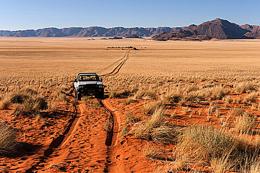 皮卡,驾驶,荒漠景观,后面,山,纳米比亚,非洲
