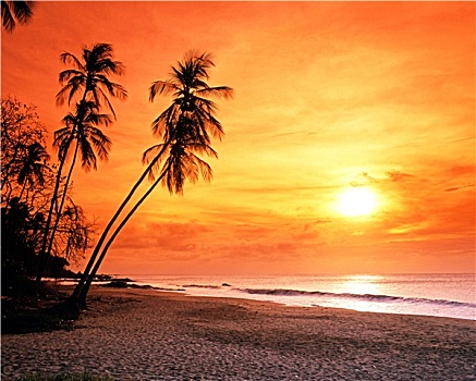 海滩,日落,多巴哥岛