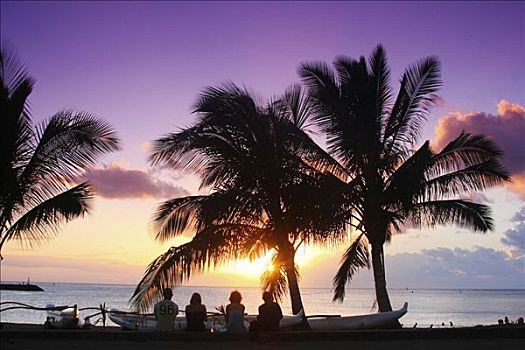 夏威夷,瓦胡岛,北岸,漂亮,日落