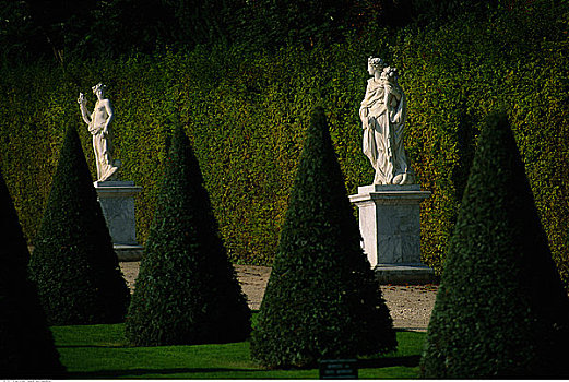 排,雕塑,树,院落,凡尔赛宫,法国