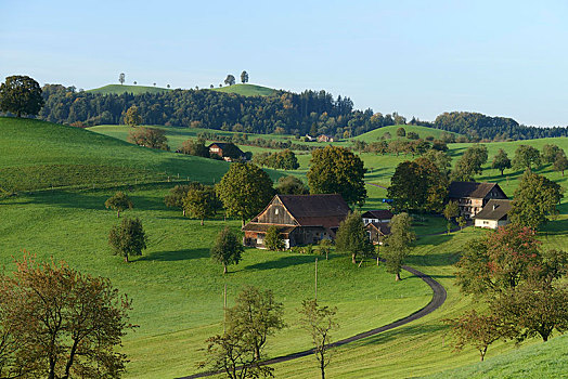 农场,秋天,瑞士,欧洲