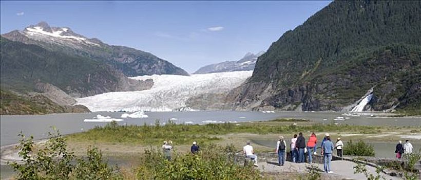 游客,棉田豪冰河,湖,块,俯瞰,小路,东南阿拉斯加,夏天