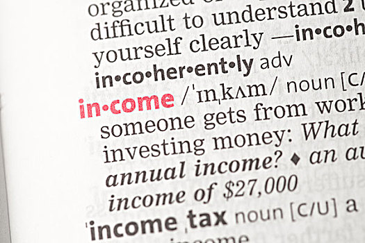 收入,定义,字典