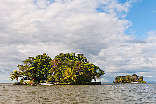 小,岛屿,热带,植被,湖,尼加拉瓜,中美洲
