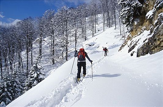 滑雪者,滑雪,路线,高山,山麓,国家公园,上奥地利州,奥地利,欧洲