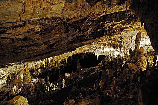 室内,喀斯特地貌,洞穴,波斯托伊纳,斯洛文尼亚,欧洲