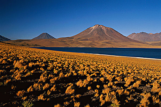 智利,高原,国家级保护区,湖,日落,大幅,尺寸