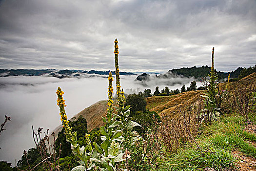 风景,山,上方,晨雾,蓝色,住宿,国家公园,新西兰