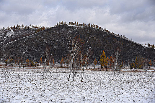 阿尔山雪景