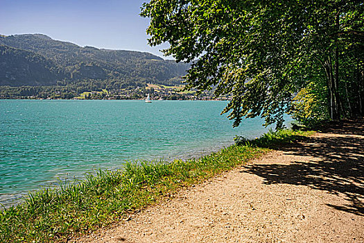 散步场所,靠近,湖,风景,乡村,萨尔茨卡莫古特,奥地利