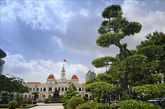 历史,市政厅,盆景树,西贡,胡志明市,越南,东南亚